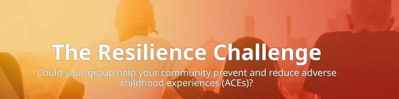 Resilience Challenge 800x200